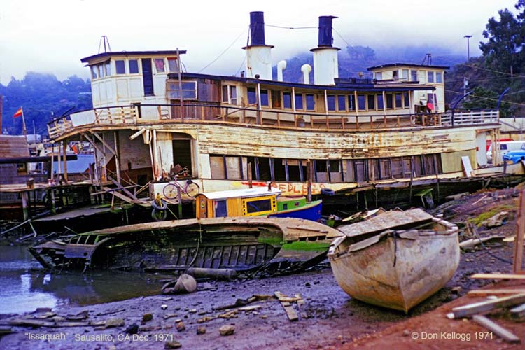 half-broken boat on shoreline
